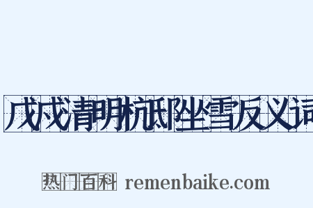 戊戍清明杭邸坐雪反义词是什么意思的图片